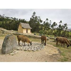  Ingapirca, Southern Highlands, Canar Province, Ecuador 