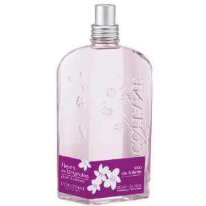  Plum Blossom Eau De Toilette Spray   100ml3.4oz Health 