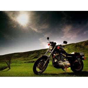  Harley Davidson Motorbike Sitting in Field, June 1998 