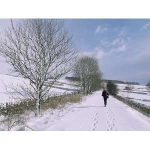 Footprints in Snow, Hartington, Tissington Trail, Derbyshire, England 