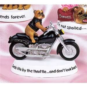  Zelda Wisdom English Bulldog Motor Cycle Grab Life 