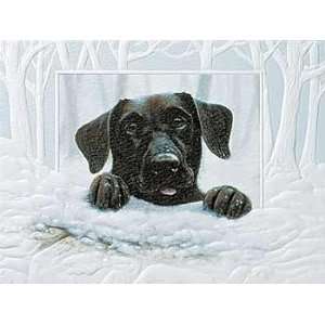  Lets Play Black Lab Christmas Cards Toys & Games