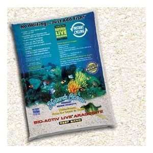  World Wide Imports Live Aragonite Reef Sand 10Lb 4 Pack 