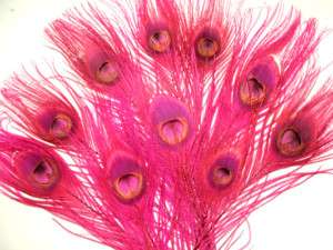 50 Peacock Feathers w Eyes Dyed Hot Pink 30 35 L  