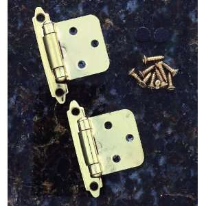   Miscellaneous Treatments Polished Brass Hinges Cabi