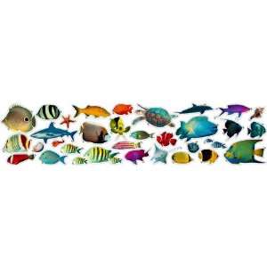  Tropical Fish Cut Outs