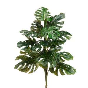  27.5 EVA Split Philodendron Plant Green (Pack of 12)