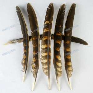   Pheasant Hen Plumage Wing Feathers Quill Natural Beautiful  