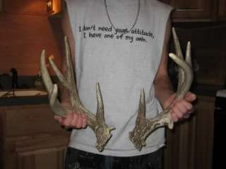 90+ MULE DEER SHED ANTLER elk whitetail rack mount  