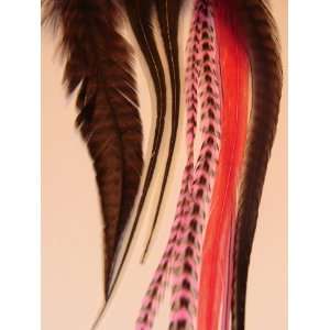   Grizzlys, and Black Grizzlys & Badgers Premium Feather Hair Extensions