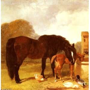   Senior   32 x 32 inches   Horse and Foal wate